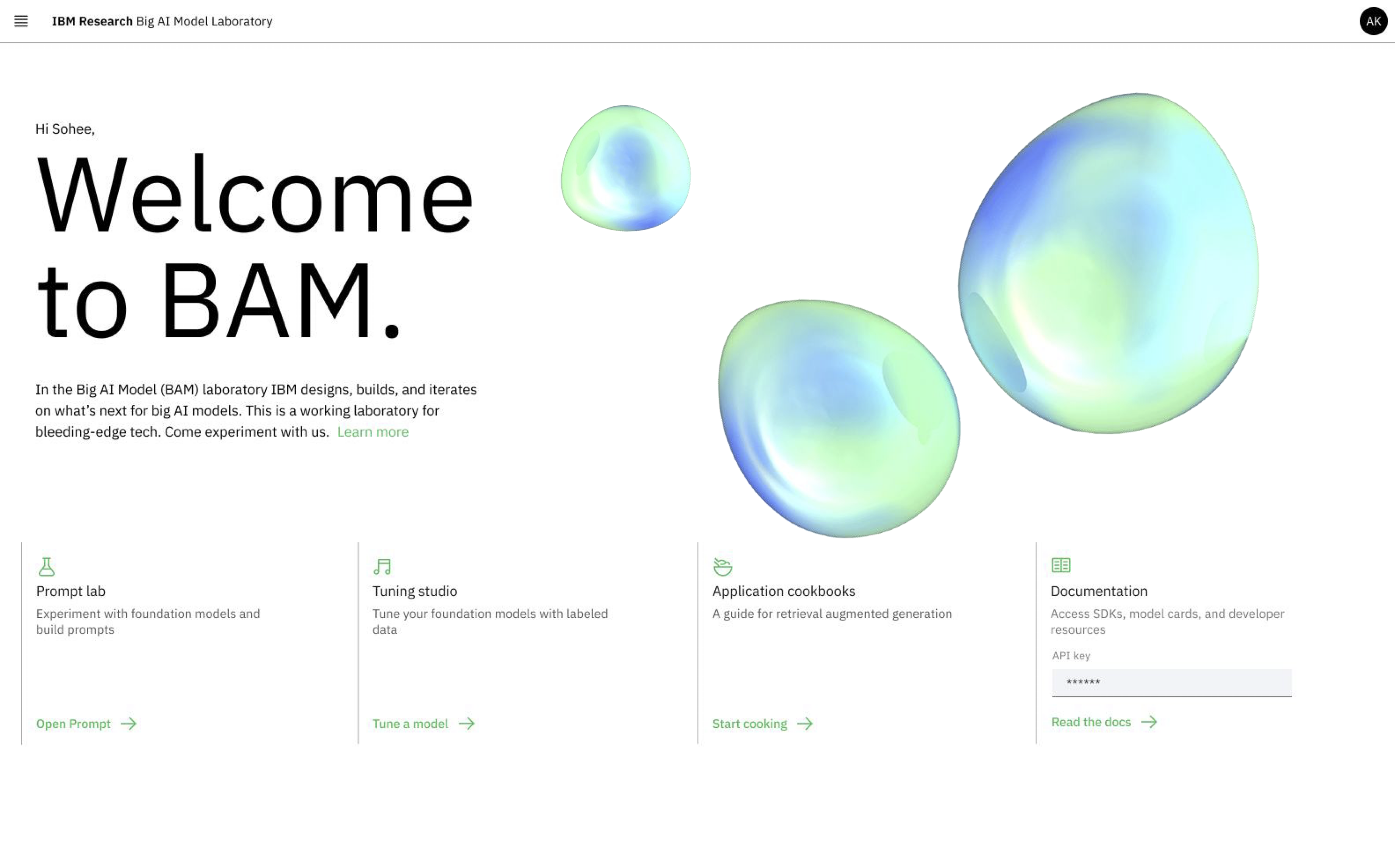 BAM website screenshot